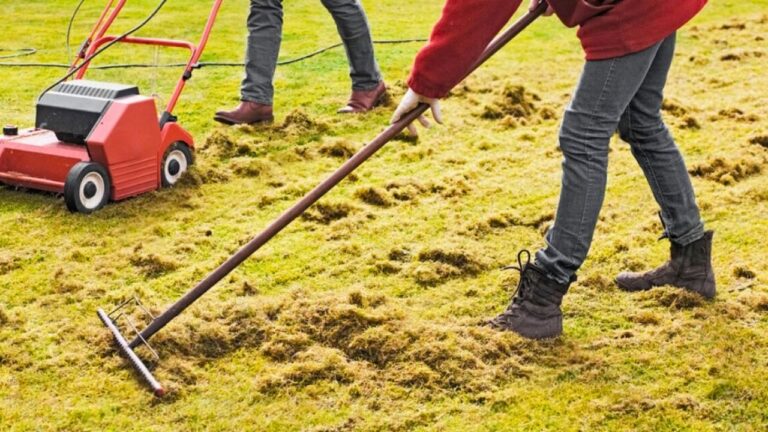 10 Things You Should Do to Your Lawn Before It Gets Hot