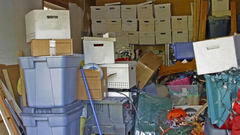 10 Things in Your Garage That Attract Bugs the Second It Warms Up