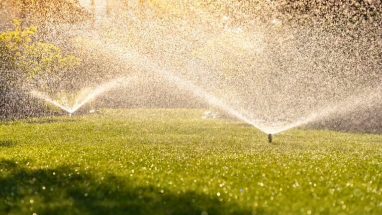 10 “Quick” Yard Fixes That Backfire by Summer