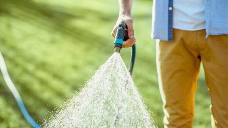 10 Ways You’re Wasting Water on Your Lawn This Spring