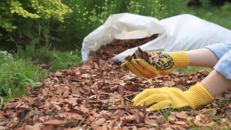 I tried using bark mulch on a slope and watched half of it wash away