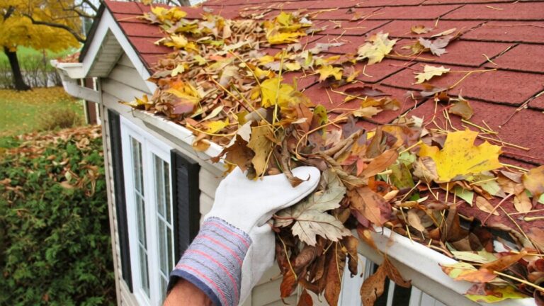 10 Things That Clog Gutters in Spring and Cause Real Damage
