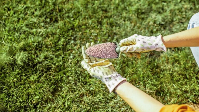 10 Spring Lawn Care Myths That Waste Time and Money