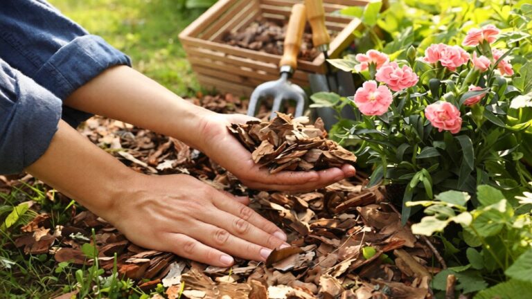 What I changed after rain kept washing mulch out of the flower beds