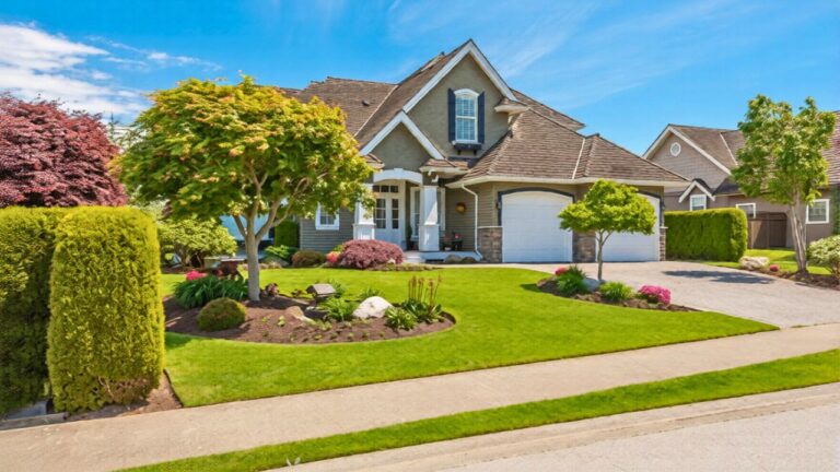 How I made the front yard look cleaner without ripping everything out