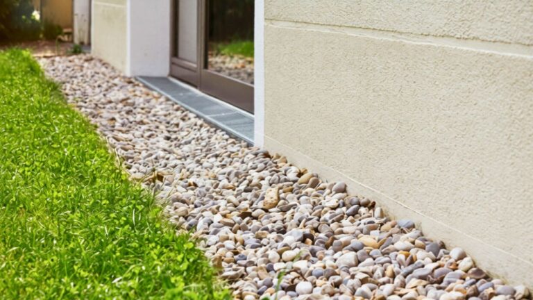 What helped when the side of the house stayed muddy all spring