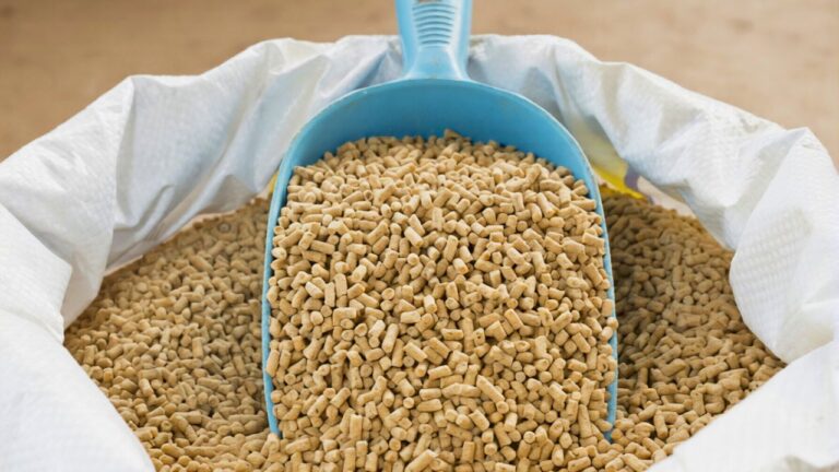 What I changed after feed kept getting damp in the shed