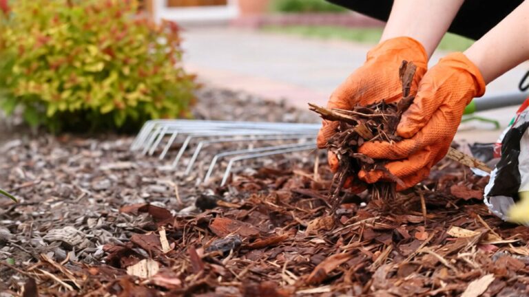 What I changed after mulch kept washing into the walkway