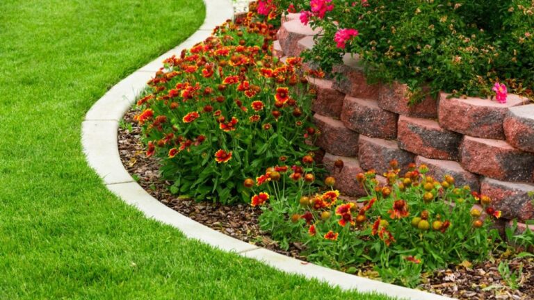 How I made my flower beds look cleaner without adding more plants