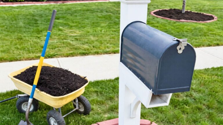 I used black mulch around the mailbox and regretted it all summer