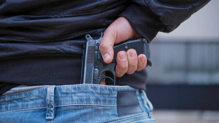 Security questions raised after gunman approaches presidential residence