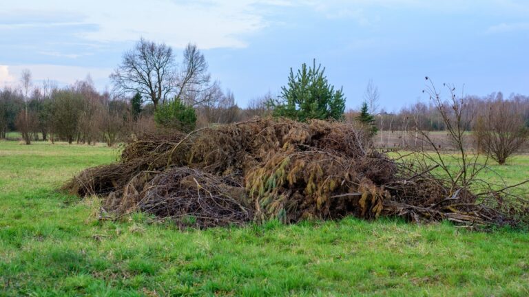 My Neighbor Treated My Burn Pile Like a Free Cleanup Spot for Their Own Brush