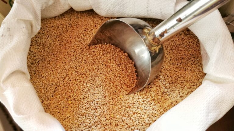 I left chicken feed in the garage and basically rolled out the welcome mat