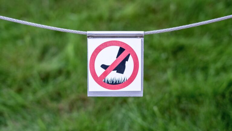 Woman Says the Installer Trampled Her Fresh Seed and Said It Would “Grow Back”