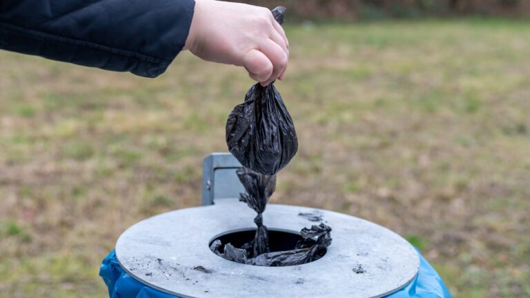 My Neighbor Started Tossing Dog Waste Into My Trash Can After Every Walk