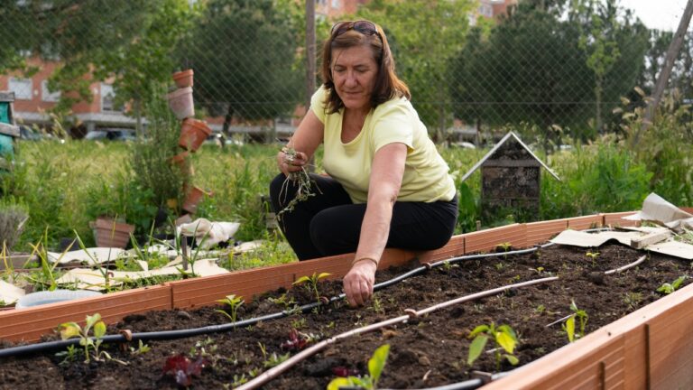 What helped when my raised beds kept drying out faster than the rest of the yard