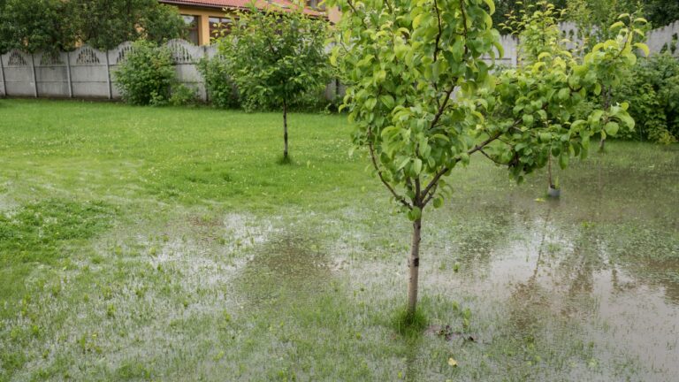 Man Says His Neighbor Installed a Garden Border That Started Flooding His Yard Every Time It Rained