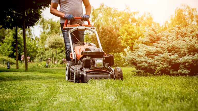 Woman Says Her Neighbor Started Mowing a Strip of Her Yard Like It Belonged to Him