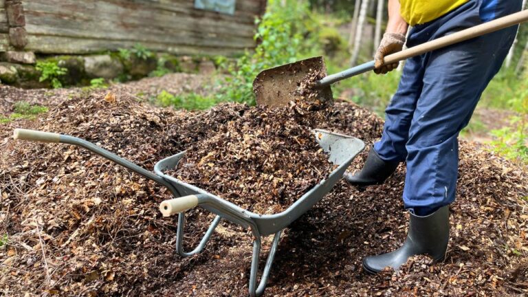 Woman Says Her Neighbor Started Taking Mulch From Her Delivery Pile Before She Could Even Spread It