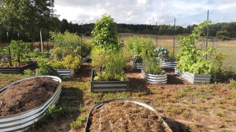 I bought metal raised beds without checking the depth and ran into problems fast