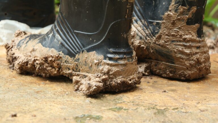My Neighbor Used My Freshly Cleaned Porch as a “Shortcut” for Muddy Yard Work