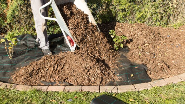 10 Spring Mulch Mistakes That Make Your Beds Look Messy