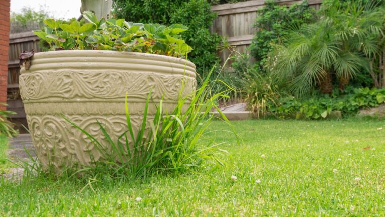 10 Spring Yard Mistakes That Make Your Place Look Neglected