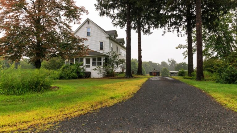 What finally helped when the grass by the driveway wouldn’t fill in