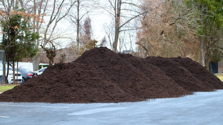 Woman Says the Delivery Driver Dropped Her Mulch in the Street and Told Her to Deal With It