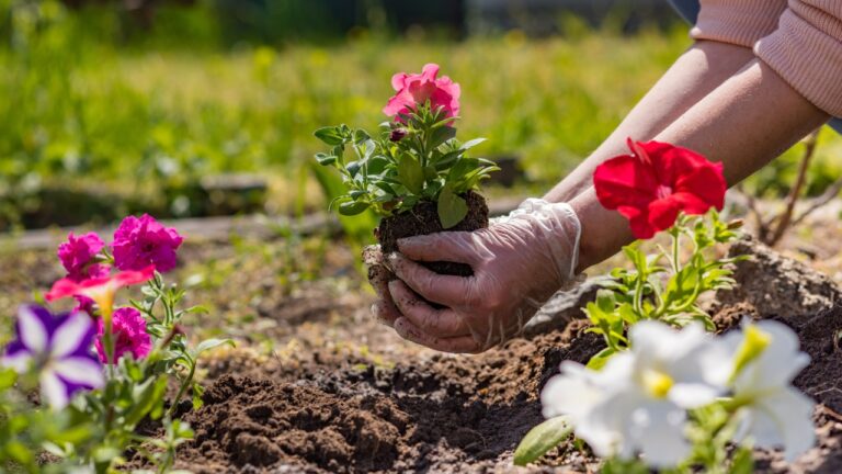 My Mother-in-Law Dug Up a Plant From My Flower Bed and Took It Home -Without Asking