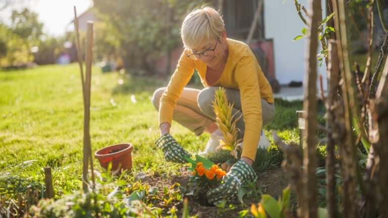 Man Says His Neighbor Started Planting Flowers on His Side of the Property Line