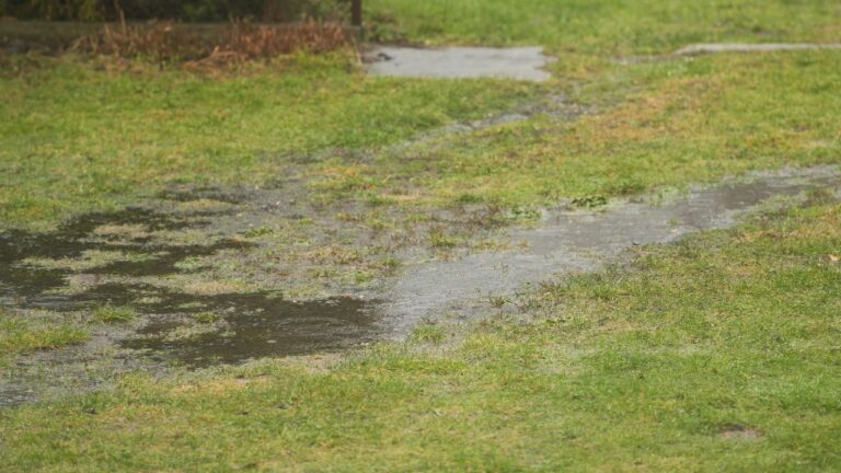 Pest infestations caused by standing water can cost homeowners up to $600