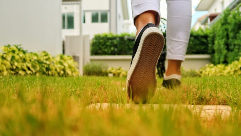 My Neighbor Claimed Part of My Yard Was “Basically Shared” After Years of Crossing It