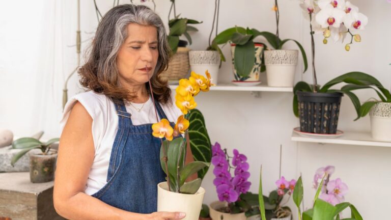 Woman Says Her Sister Started Taking Decorations Off Her Porch for Her Own Party