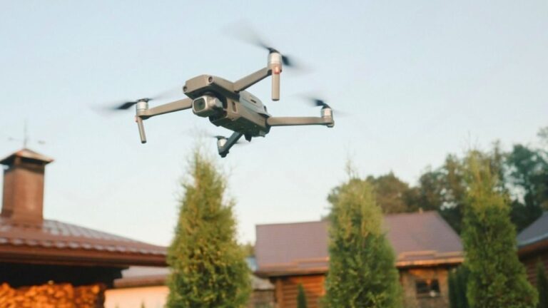 Neighbor Flew a Drone Into Her Yard — Then Her Dog Ate It and Small Claims Court Got Involved