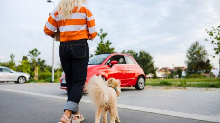 Dog Walker Says a Man Pulled Beside Her Car to Joke About “Dangerous Butterflies” — Then Kept Appearing Near Her Walks