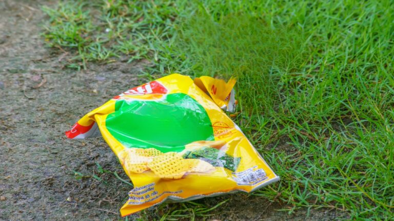 Homeowner Says City-Connected Neighbor Got Them Cited Over a Potato Chip Bag in the Yard