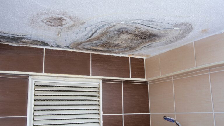 Texas Renter Says the Bathroom Ceiling Is Rotting With Black Mold — Then the Apartment Calls It “Low Priority”