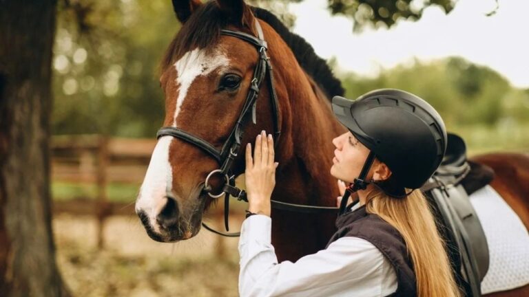 10 Horse Breeds That Are Easiest for Beginners