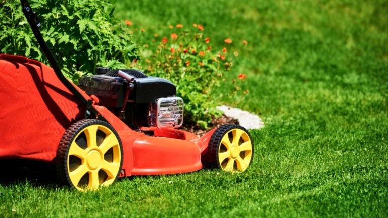 12 Yard Jobs People Put Off Until It Costs Them