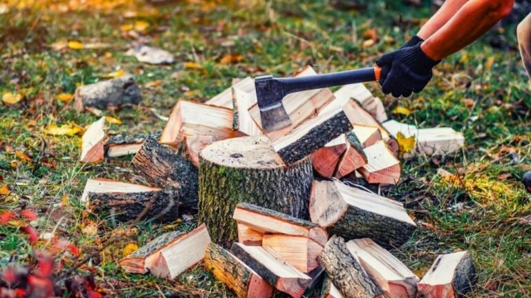 11 Things People Get Wrong About Seasoning Firewood