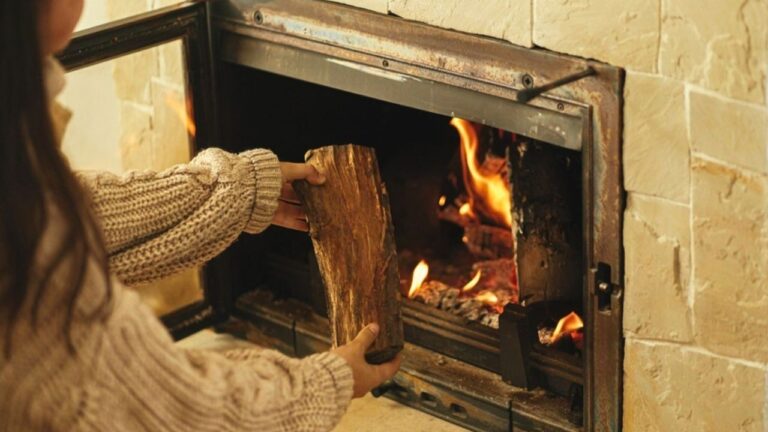 12 Woods That Ruin a Chimney Faster Than People Expect