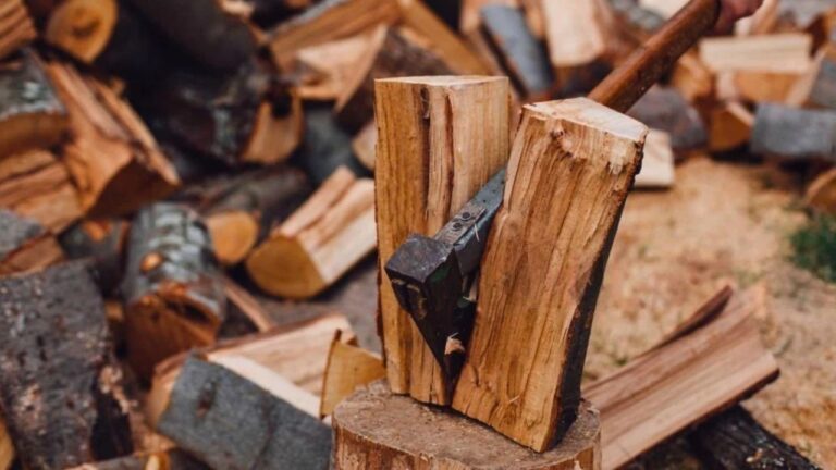 10 Firewood Trees That Split Easiest by Hand
