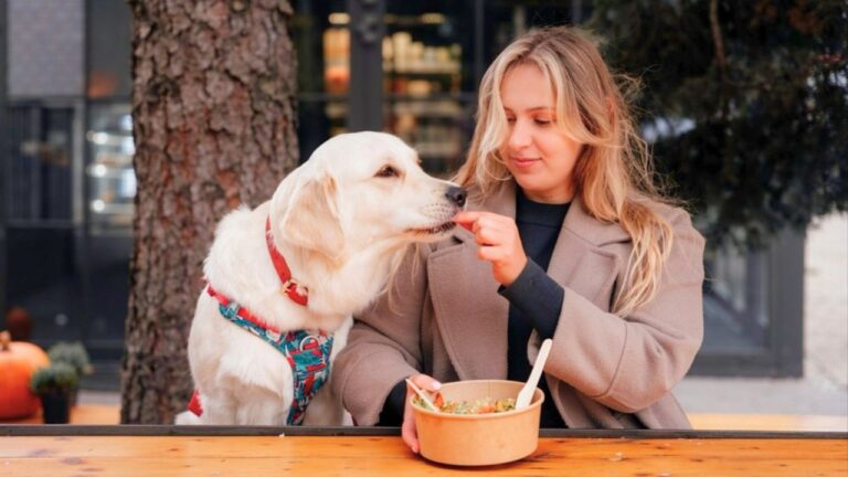 12 Foods That Are Safe to Share With Your Dog