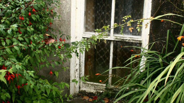 11 Landscaping Choices People Notice Before the House