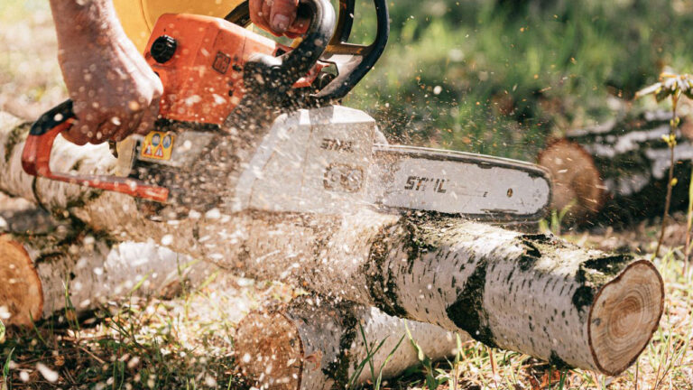 Best Chainsaws for Homeowners Who Cut Their Own Firewood