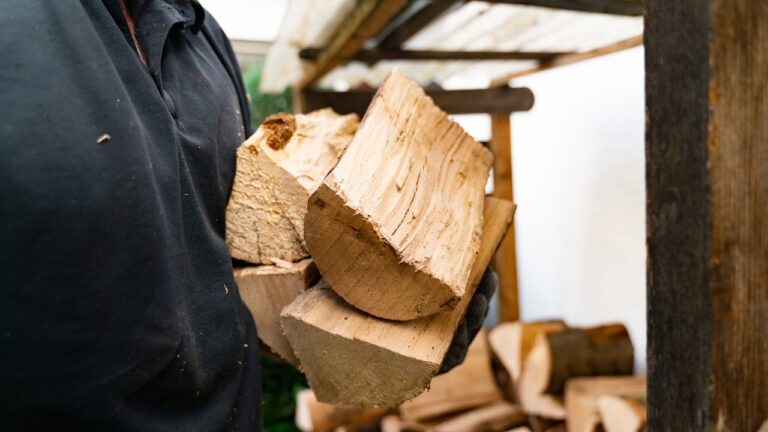 10 Signs Your Firewood Isn’t Actually Ready to Burn