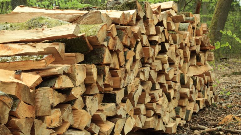 10 Things That Ruin a Whole Cord of Firewood