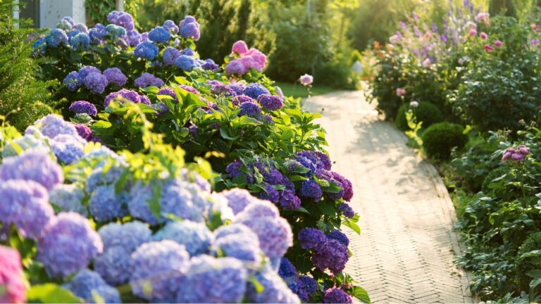 12 Shrubs That Look Good Without Any Real Work
