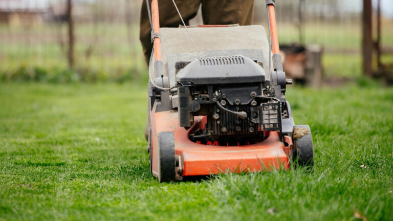 10 Things People Skip on the Last Mow of the Year
